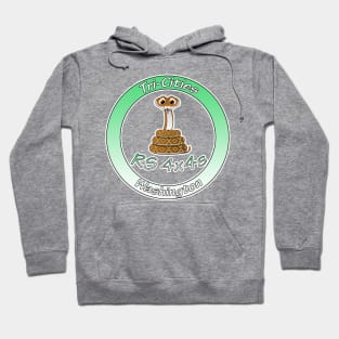 RS 4x4s Round Logo Hoodie